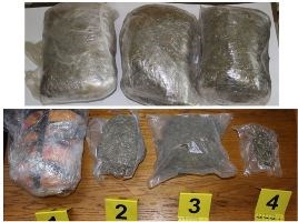 Slika PU_SD/marihuana 4937 g web.jpg